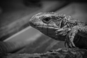 埋没ランキングで知っておきたい注目の施術は？