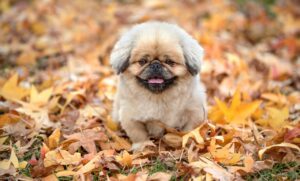 埋没法を選ぶ際の激安クリニックでの注意点は？