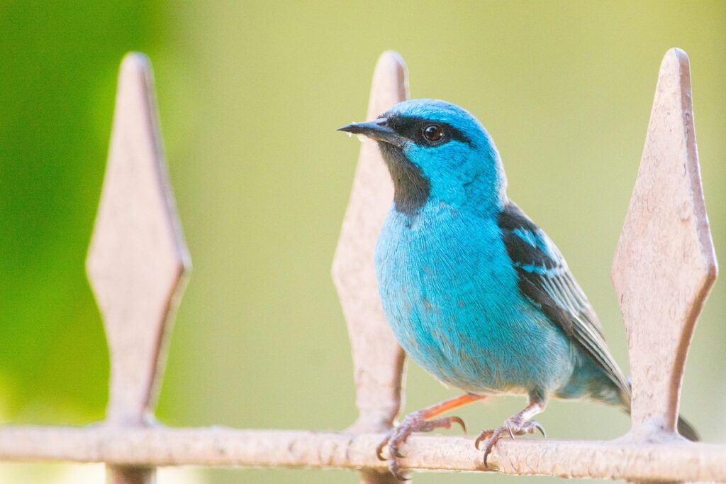 埋没した糸が出てきた場合の対処法はどうする？