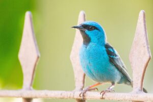 埋没した糸が出てきた場合の対処法はどうする？