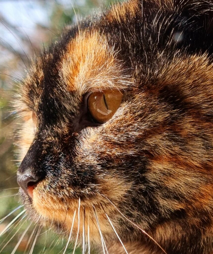 埋没ゴロゴロの原因と対策について知っておくべきことは？