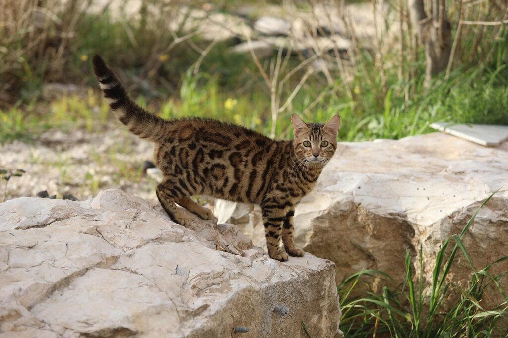 埋没法で失敗したらどう対処すべき？