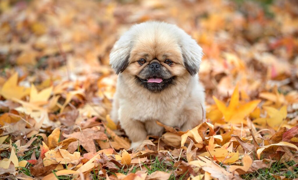 埋没法の保証期間はどのくらいが一般的ですか？