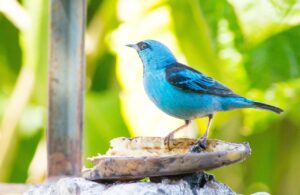 埋没糸が出てきた場合はどうするべきか？