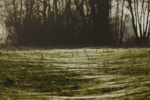 埋没糸が出てるときの対処法と注意点は？