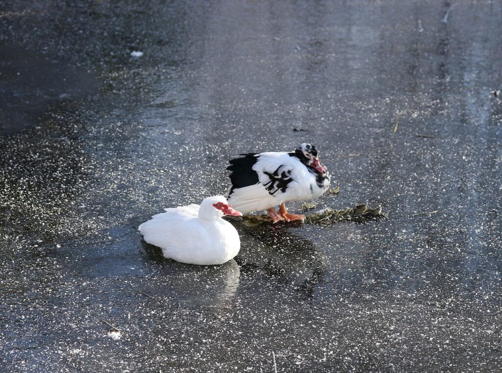 埋没費用を分割払いで支払うメリットは？