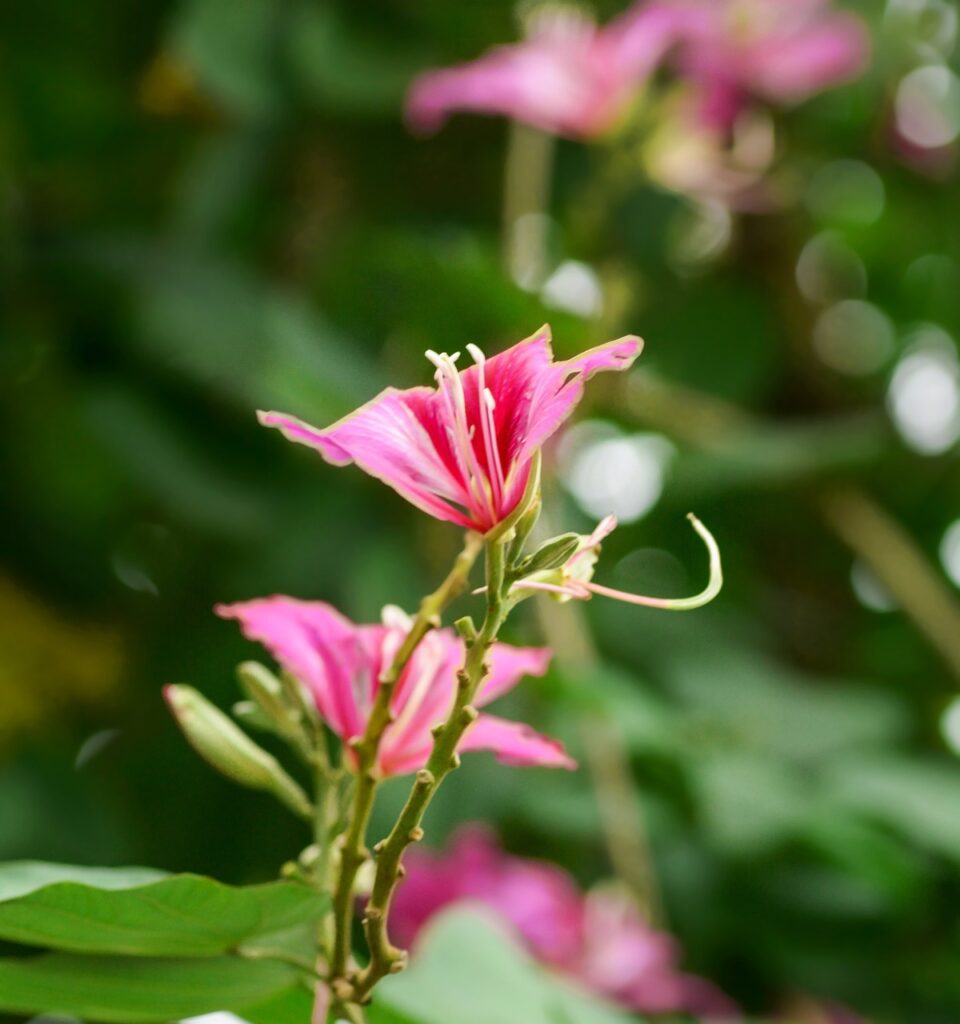埋没に関するおすすめの対処法は？