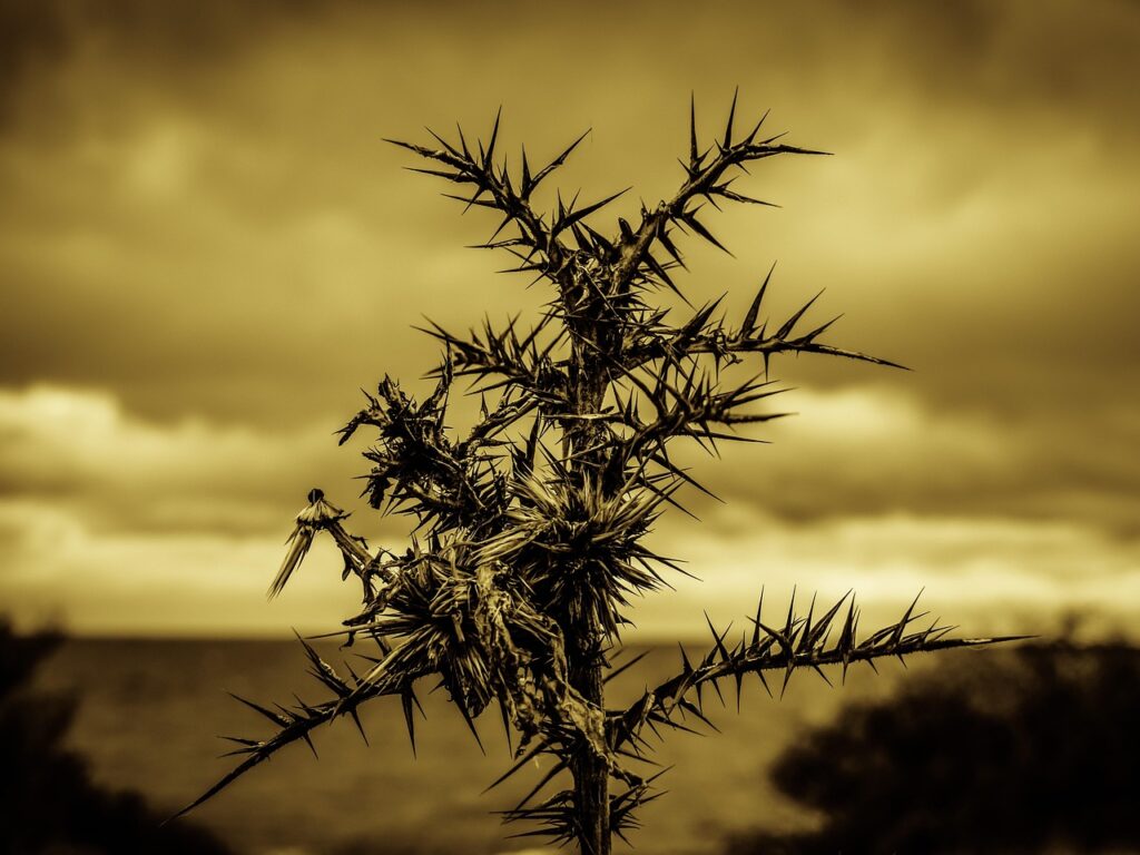 埋没法施術後の痛み対策にはどんな方法がある？