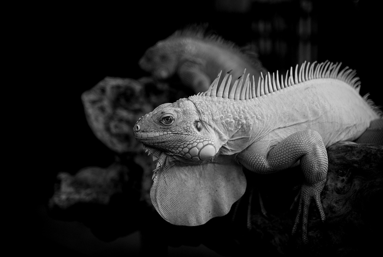 二重整形でおすすめのクリニックはどこですか？