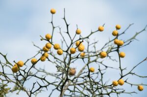 埋没法の向きと不向きはどのように判断すれば良いの？