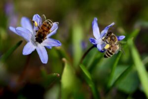 埋没法の体験は本当に良い？口コミから分かる実際の効果とは？