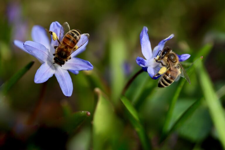 埋没法の体験は本当に良い？口コミから分かる実際の効果とは？